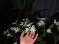 Отдельный дом · 5 комнат · 112 м² · 6 сот., Пирогова 64 — Арбат,Көшеней, Таксопарк за 40 млн ₸ в Таразе — фото 12