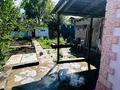 Дача · 3 комнаты · 60 м² · 10 сот., жилой массив Кайнар Булак, Абрикосовая — Старая конечка за 17.5 млн ₸ в Шымкенте, Абайский р-н — фото 20