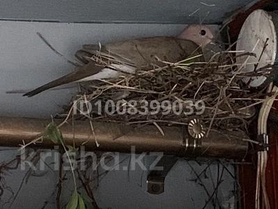 Жеке үй · 4 бөлме · 76.9 м² · 9 сот., Латиф Хамиди 87, бағасы: 28 млн ₸ в Талгаре