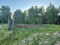 Участок · 10 соток, Дачный массив за 6 млн ₸ в Щучинске