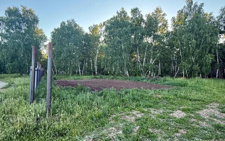 Участок · 10 соток, Дачный массив за 6 млн ₸ в Щучинске — фото 2