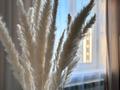 1-комнатная квартира · 40 м² · 9/10 этаж, Валиханова 129 — ЦУМ, ТД Рахат, Каспий банк за 15 000 ₸ в Семее — фото 11