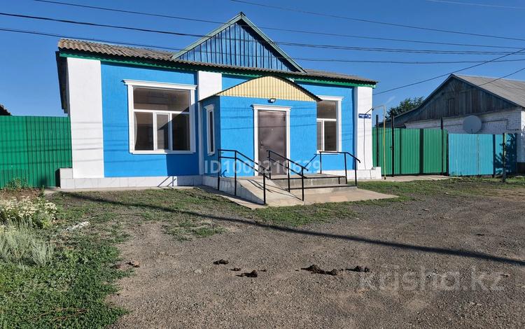 Еркін · 120 м², бағасы: 17 млн ₸ в Чапаеве — фото 15