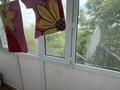 2-бөлмелі пәтер · 48.3 м² · 4/5 қабат, Майкутова 2 — Район «Сказка», бағасы: 11 млн ₸ в  — фото 5