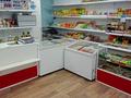 Магазины и бутики • 35 м² за 20 млн 〒 в Алтае — фото 5