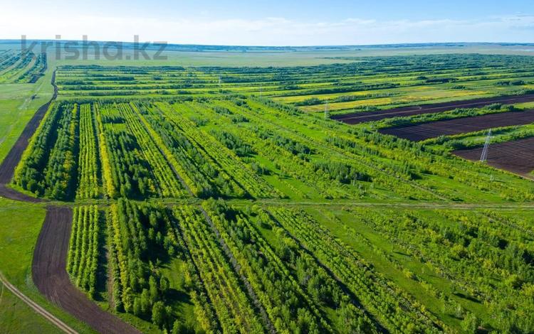 Участок · 15 соток, 42разьезд — Жд дороги за 3 млн ₸ в Аршалы — фото 3