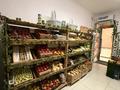 Фрукты Овощи · 21 м² за 650 000 ₸ в Астане, Есильский р-н — фото 11