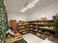 Фрукты Овощи · 21 м² за 650 000 ₸ в Астане, Есильский р-н — фото 7