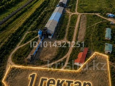 Участок · 1000 соток, Ижевское за 35 млн ₸ в Акмолинской обл.