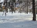Участок · 25 соток, С.Бескайнар 1 — ЛЕСНАЯ СКАЗКА за 158 млн ₸ в Алматинской обл., Талгарский р-н — фото 16