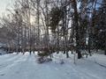 Участок · 25 соток, С.Бескайнар 1 — ЛЕСНАЯ СКАЗКА за 158 млн ₸ в Алматинской обл., Талгарский р-н — фото 17
