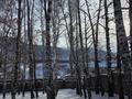 Участок · 25 соток, С.Бескайнар 1 — ЛЕСНАЯ СКАЗКА за 158 млн ₸ в Алматинской обл., Талгарский р-н — фото 23
