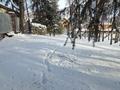 Участок · 25 соток, С.Бескайнар 1 — ЛЕСНАЯ СКАЗКА за 158 млн ₸ в Алматинской обл., Талгарский р-н — фото 25