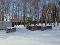 Участок · 25 соток, С.Бескайнар 1 — ЛЕСНАЯ СКАЗКА за 158 млн ₸ в Алматинской обл., Талгарский р-н — фото 11