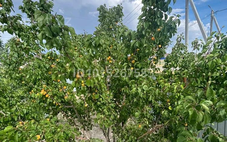 Отдельный дом · 5 комнат · 180 м² · 10 сот., Береке (Память Ильича) 46 — 11 көше Шоқан Уалиханов за 29 млн ₸ в Атырау — фото 2