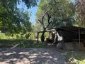 Отдельный дом · 4 комнаты · 109 м² · 9 сот., Калымская 2 за 52 млн ₸ в Алматы, Жетысуский р-н — фото 34