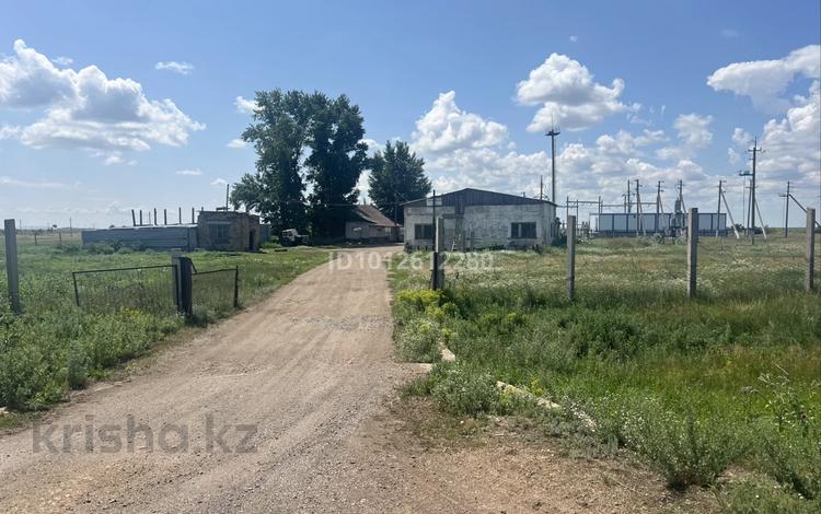 Отдельный дом · 4 комнаты · 100 м² · 25 сот., Орталык 6 а — Центральная за 40 млн ₸ в Астане, Нура р-н — фото 2