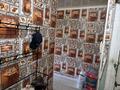 1-комнатная квартира · 31.2 м² · 5/5 этаж, мкр Восток 10 за 12 млн ₸ в Шымкенте, Аль-Фарабийский р-н — фото 6