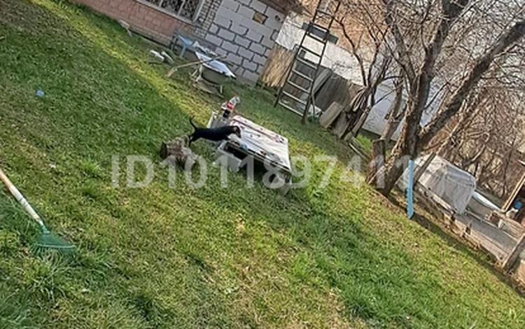 Жеке үй · 3 бөлме · 60 м² · 10 жүзд., Арман 24 — Верхняя каскеленская трасса, бағасы: 23 млн ₸ в Алматы — фото 2
