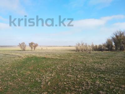 Участок · 300 га, С.Акши 24Б за 41 млн ₸