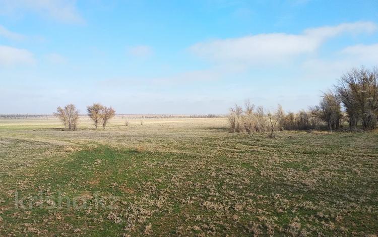 Участок · 300 га, С.Акши 24Б за 41 млн ₸ — фото 2
