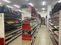 Магазины и бутики • 750 м² за 149.5 млн 〒 в Косшы — фото 9
