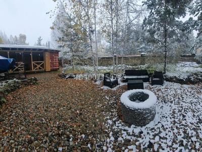 Действующий бизнес · 36 м² за 40 млн 〒 в Риддере