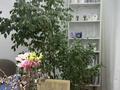 2-бөлмелі пәтер · 46.4 м² · 7/7 қабат, Алихан Бокейхана, бағасы: 55 млн ₸ в Астане, Есильский р-н — фото 8