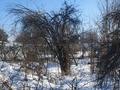 Саяжай · 2 бөлме · 25 м² · 10.4 сот., Яблочная 10, бағасы: 5.3 млн ₸ в Есик — фото 3