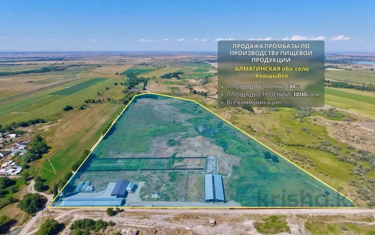 Завод · 30 га, Койшыбек Байтерек за 600 млн ₸ — фото 11