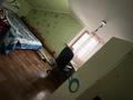 Отдельный дом · 5 комнат · 250 м² · 6 сот., Береке 31 за 36 млн ₸ в Жамбыл — фото 7