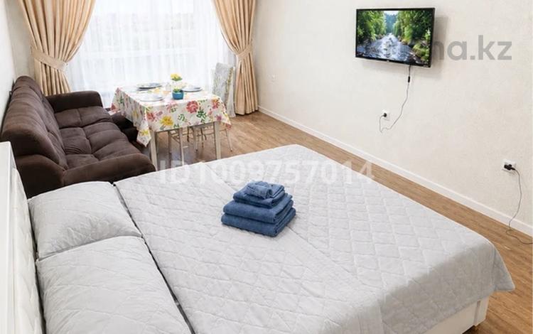 1-комнатная квартира · 28 м² · 10/10 этаж, Сейфуллина за 15 000 ₸ в Алматы, Турксибский р-н — фото 29