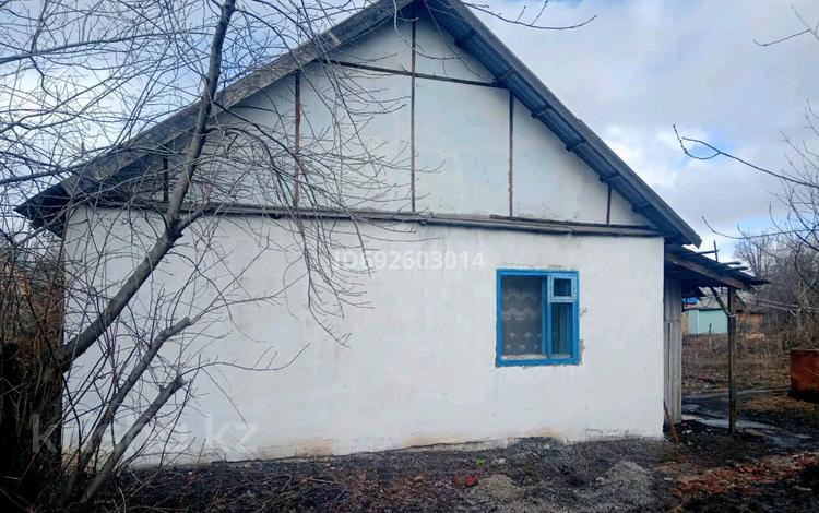 Купить Дачу Зимний Вариант Усть Каменогорск