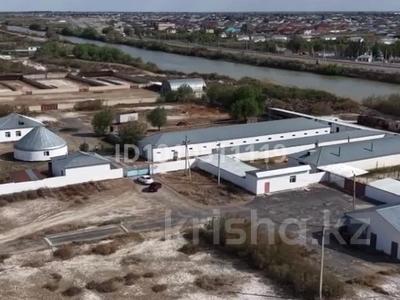 Сельское хозяйство · 701 м² за 198 млн ₸ в Махамбетах