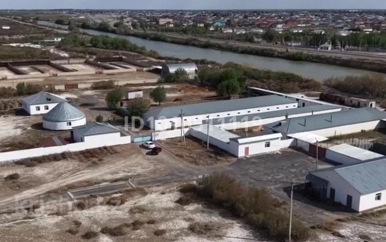 Сельское хозяйство · 701 м² за 198 млн ₸ в Махамбетах — фото 2