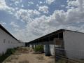 Сельское хозяйство · 701 м² за 198 млн ₸ в Махамбетах — фото 4