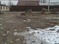 Участок · 7 соток, мкр Шугыла 15 — Виноградная 15 за 38.5 млн ₸ в Алматы, Наурызбайский р-н