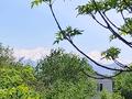 2-комнатная квартира · 44 м² · 4/4 этаж, мкр №9 13 — Студентческая за 27.5 млн ₸ в Алматы, Ауэзовский р-н — фото 4