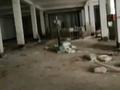Еркін, қоймалар · 1100 м², бағасы: 5.5 млн ₸ в Астане, Сарайшык р-н — фото 4
