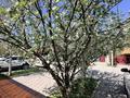 3-комнатная квартира · 74.5 м² · 1/2 этаж, мкр Карасу, Дулат Бабатайулы 116 за ~ 40 млн ₸ в Алматы, Алатауский р-н — фото 17