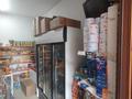 Продуктовый магазин · 20 м², бағасы: 7 млн ₸ в Алматы, Алатауский р-н — фото 4