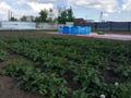 Отдельный дом · 4 комнаты · 150 м² · 20 сот., Южная 32 — Возле центра, школа 1, школа 3 за 27 млн ₸ в Шортандах — фото 20