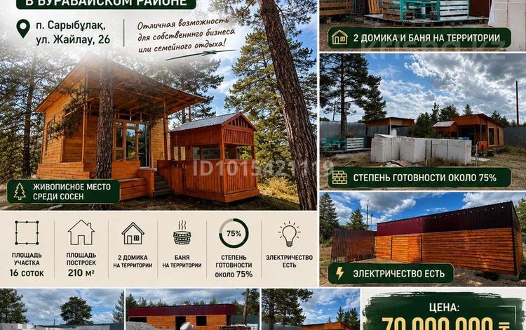 Зона отдыха в Боровом · 210 м², бағасы: 70 млн ₸ в Сарыбулак — фото 2