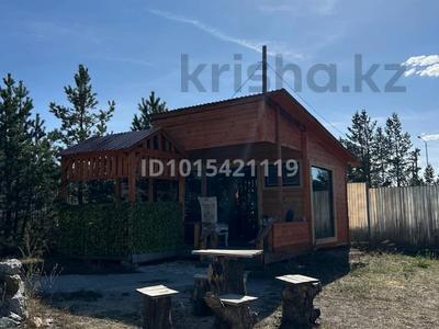 Зона отдыха в Боровом · 210 м², бағасы: 70 млн ₸ в Сарыбулак