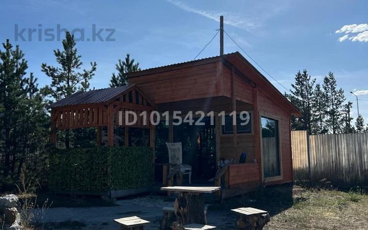 Зона отдыха в Боровом · 210 м² за 70 млн ₸ в Сарыбулак — фото 12