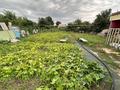 Отдельный дом · 3 комнаты · 50 м² · 6 сот., мкр Жилгородок, Крывое озеро ТЭЦ-3 96 — Жеміс 96 за 3 млн ₸ в Актобе — фото 9