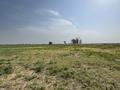 Участок · 2000 соток, Байдибек би за ~ 8 млн ₸ — фото 4
