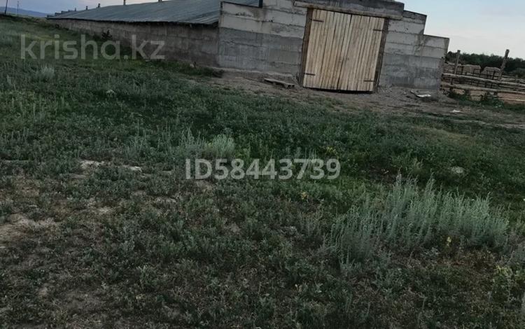 Сельское хозяйство • 1250 м² за 15 млн 〒 в Кокпекты — фото 2