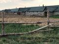 Ауыл шаруашылығы • 1250 м², бағасы: 15 млн 〒 в Кокпекты — фото 5