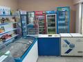 Магазин · 48 м² за 48.5 млн ₸ в Шымкенте, Туран р-н — фото 2